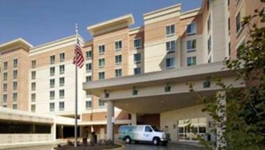 Homewood Suites by Hilton® Springfield, VA image