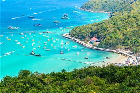 เกาะล้าน (ปะการัง)