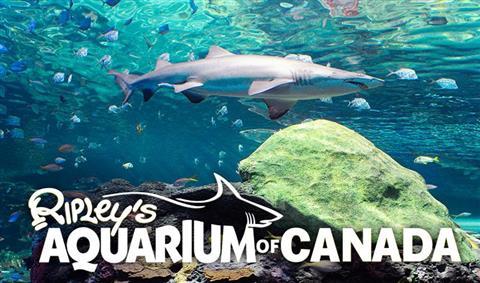 Ripley's Aquarium of Canada