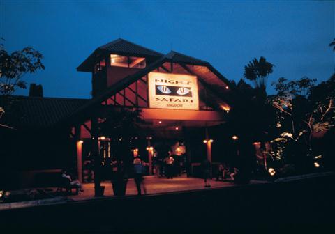 Night Safari