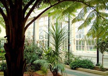 Изображение места проведения