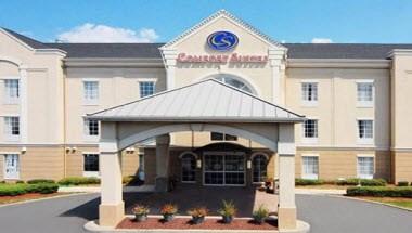 Comfort Suites Newark - Harrison image