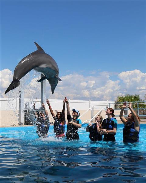 Gulfarium Marine Adventure Park