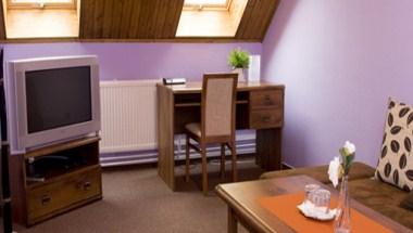 Art Pension Dans Le Parc i Banska Bystrica, SK