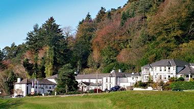 Woodenbridge Hotel & Lodge image