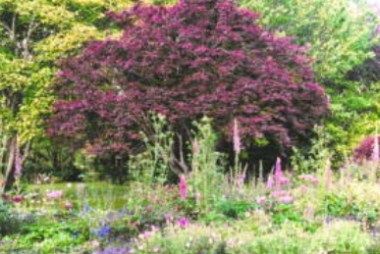 Изображение места проведения