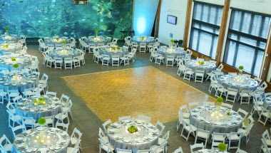 Seattle Aquarium в Seattle, WA