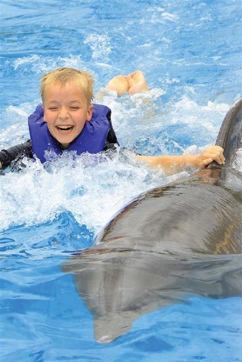 SIGNATURE SWIM WITH DOLPHINS by Vallarta Adventures