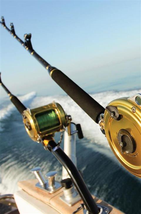 DEEP SEA FISHING BOAT S by Mike’s Charters