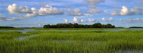 Pinckney Island National Wildlife Refuge