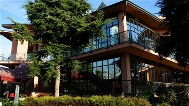 Hotel Diamante image