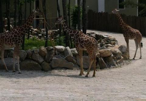 Southwick's Zoo