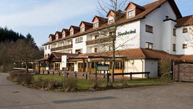 Seehotel Losheim image