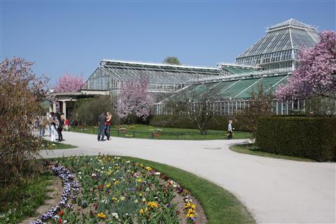 Jardin botanique