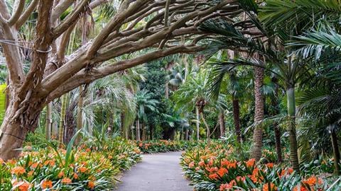 Royal Botanical Gardens