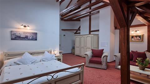 Hotel Traube в Medias, RO