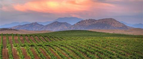 Wine Country and Wine Tours