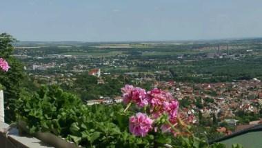 Hotel Fenyves Panorama in Brustmuskeln, HU