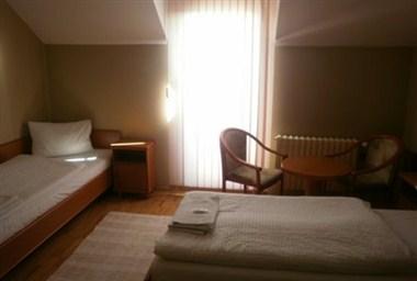 Hotel Salus a Pohorelice, CZ