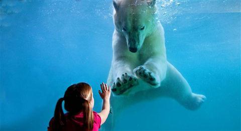 Point Defiance Zoo and Aquarium