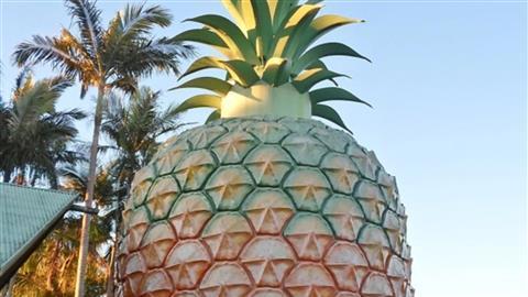 The Big Pineapple