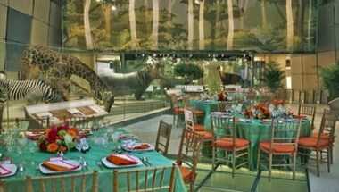 Smithsonian National Museum of Natural History em Washington, DC