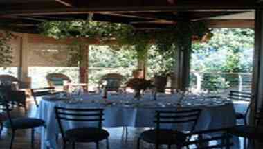 The Pines in Wellington, NZ