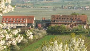Hotel Leinsweiler Hof image