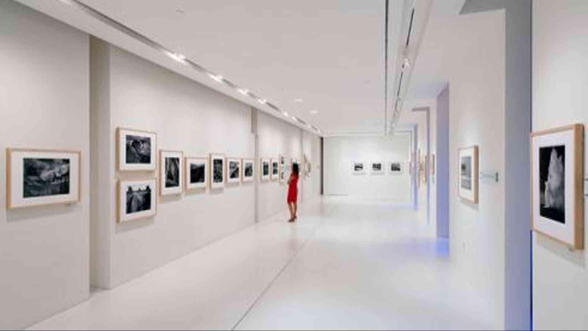 The Wilderness Society a Washington, DC