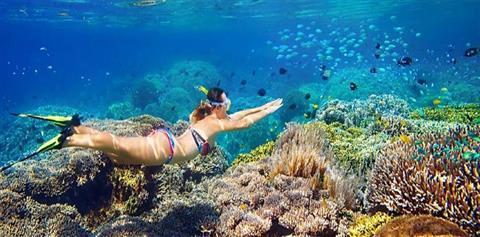 Kayak, Snorkel and Stand-Up Paddleboard