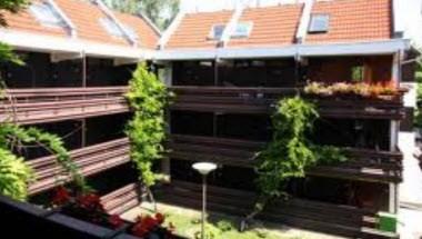 Hotel Viking a Gardony, HU