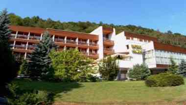 Hotel Flora, Inc. i Trencianske Teplice, SK