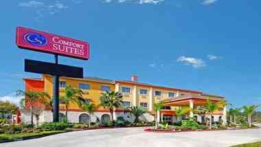 Comfort Suites Kingwood Houston North in Bescheiden, TX