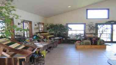 Buttonwoodgrove Winery в Romulus, NY