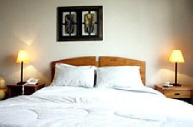Bellas Artes Suites And Apartments a Santiago, CL