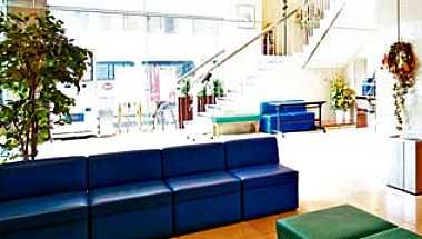 Pearl Hotel Kasai i Tokyo, JP