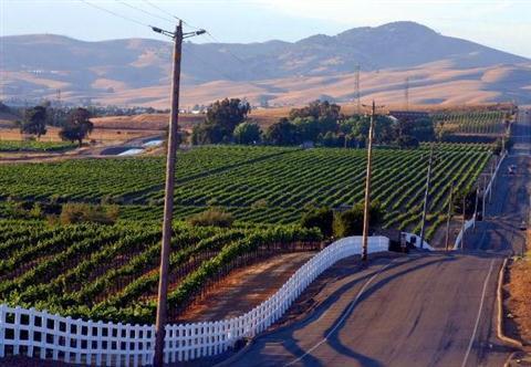Livermore Valley Wine Country