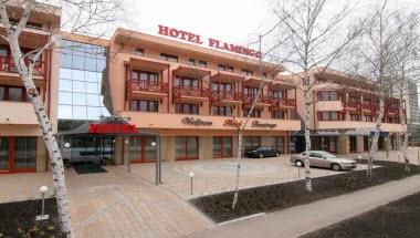 Flamingo Wellness Hotel image
