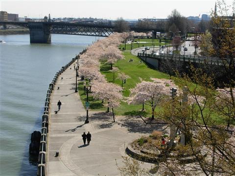 Governor Tom McCall Waterfront Park