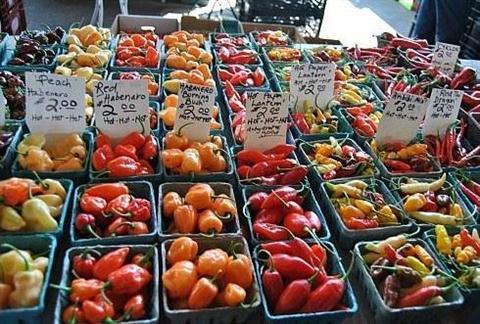Rochester's Public Market