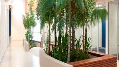 Изображение места проведения