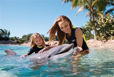 Discovery Cove