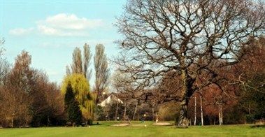 Изображение места проведения