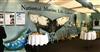 The National Marine Life Center