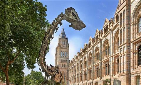 Natural History Museum