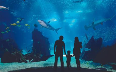 Acuario del estado de Texas