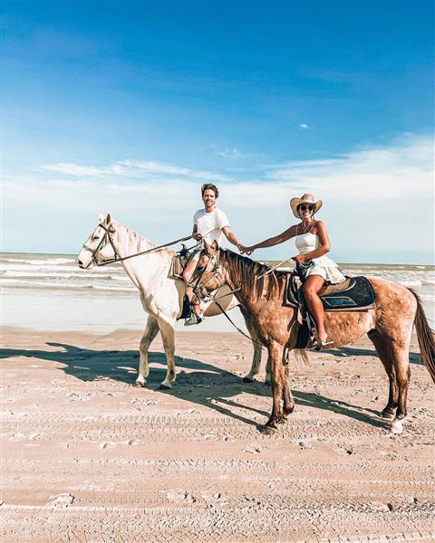 Caballos en la playa