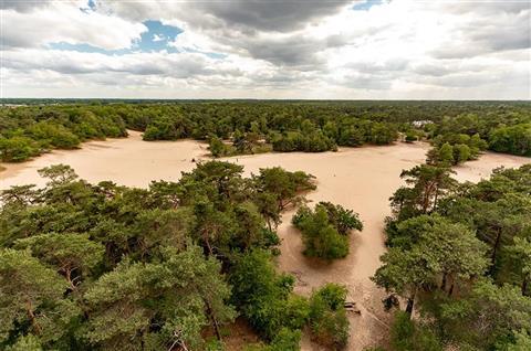 Loonse en Drunense Duinen