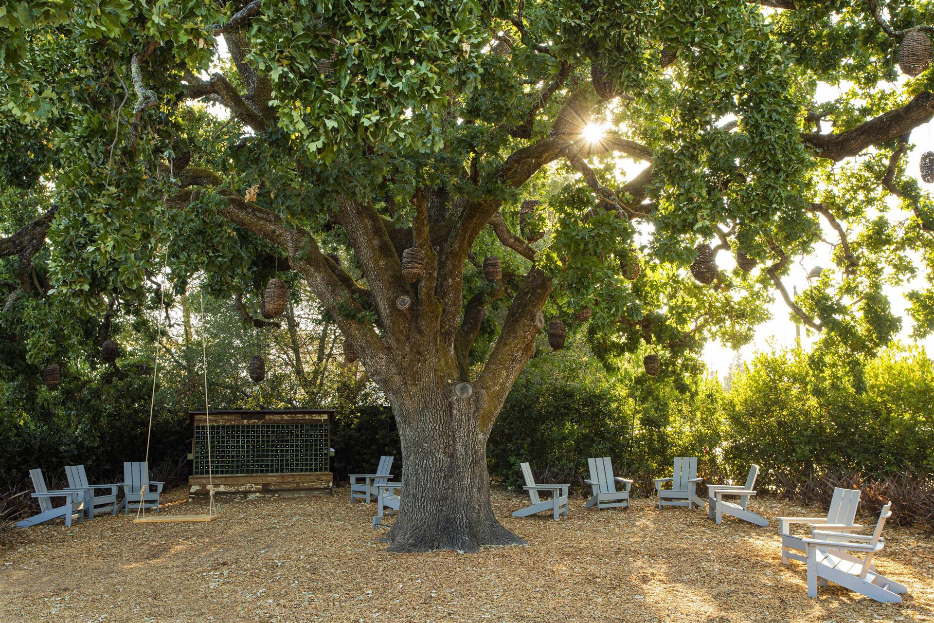 Toplantı odası resmi