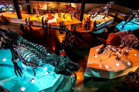 Houston Museum of Natural Science